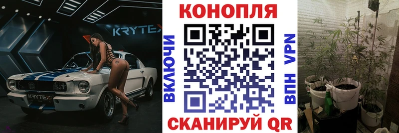 Где можно купить наркотики Полтавская Конопля  МЕФ  APVP  ГАШИШ 