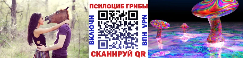 Псилоцибиновые грибы мицелий  МЕГА ONION  Полтавская  как найти наркотики 